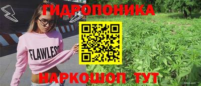 таблы Шебекино