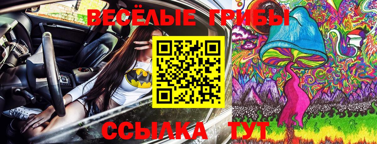 Галлюциногенные грибы Cubensis  Вход с VPN  Междуреченск 